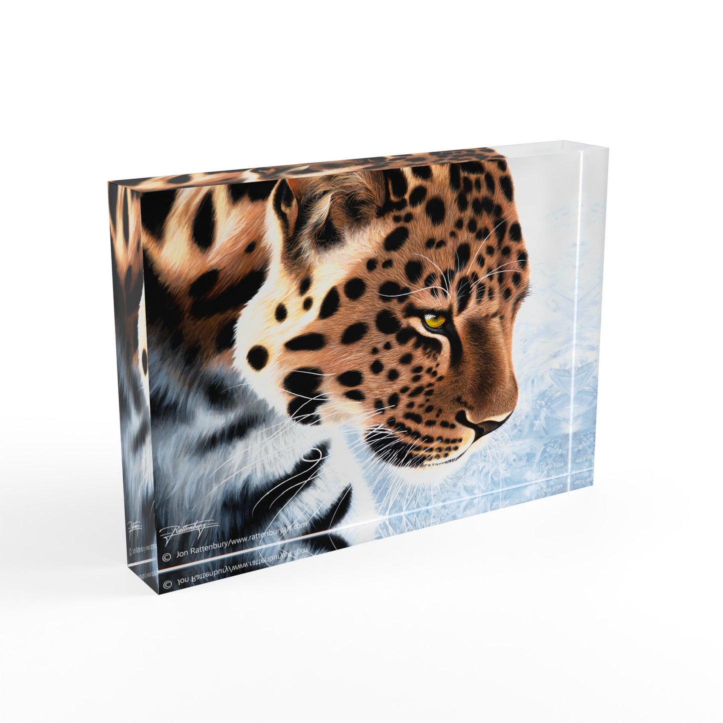 Acrylic Photo Block - I See You