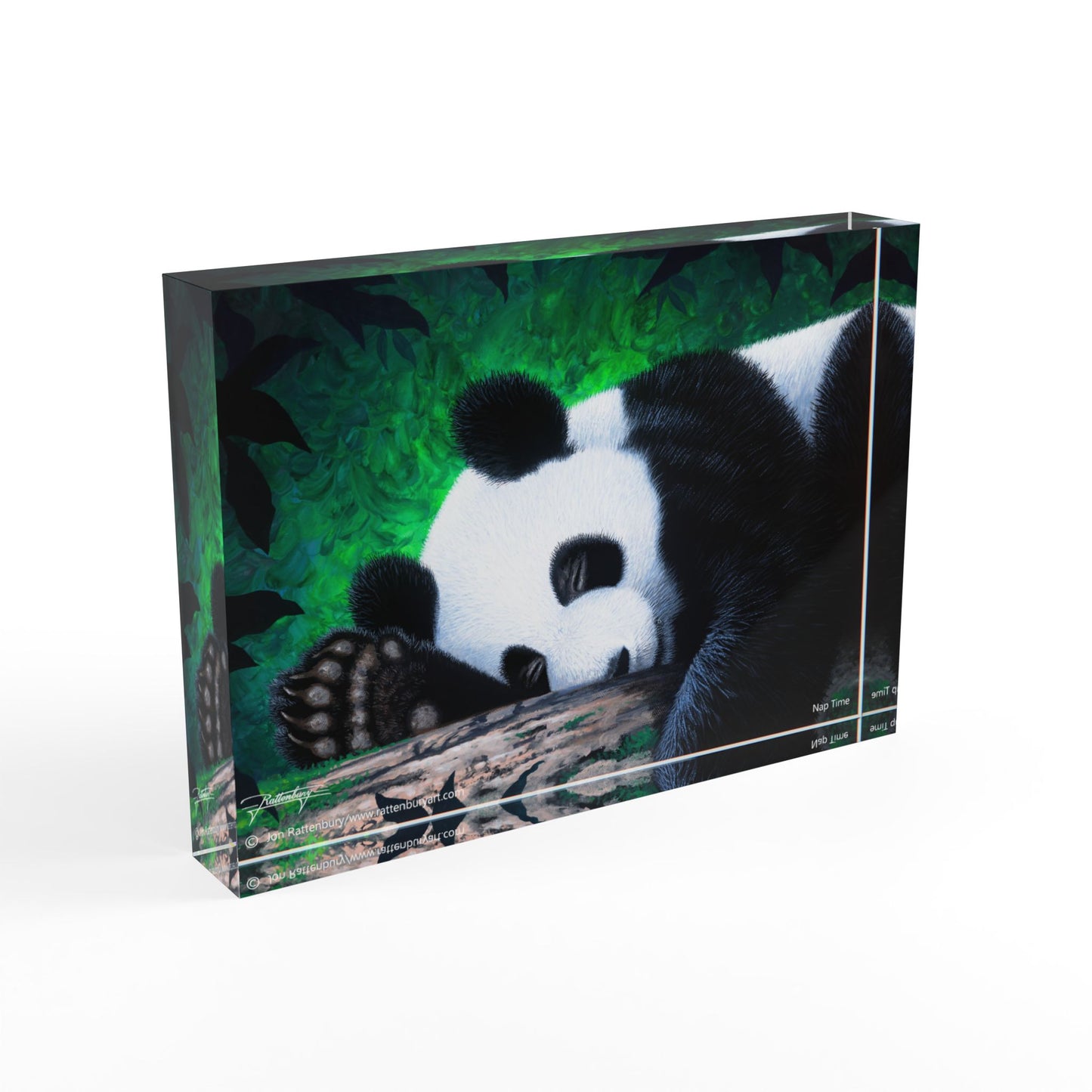 Acrylic Photo Block - Nap Time