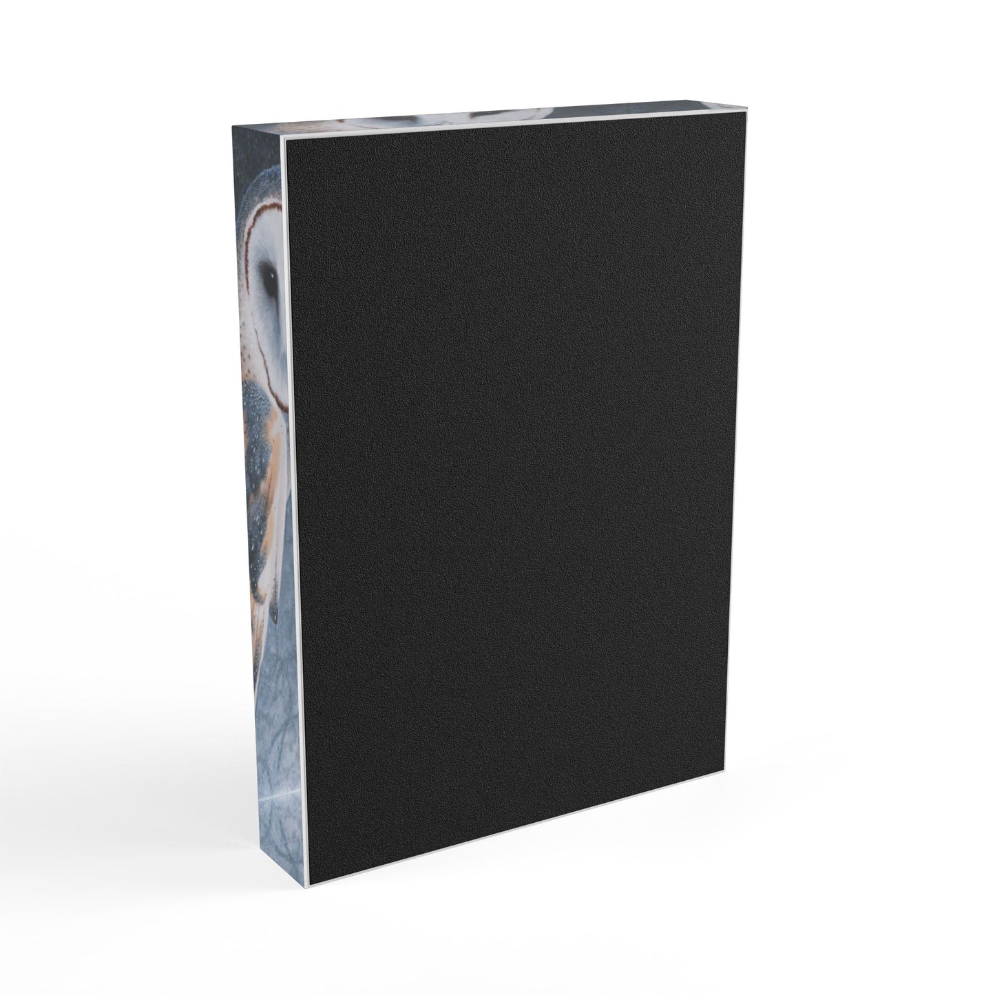 Acrylic Photo Block - Seeking Wisdom