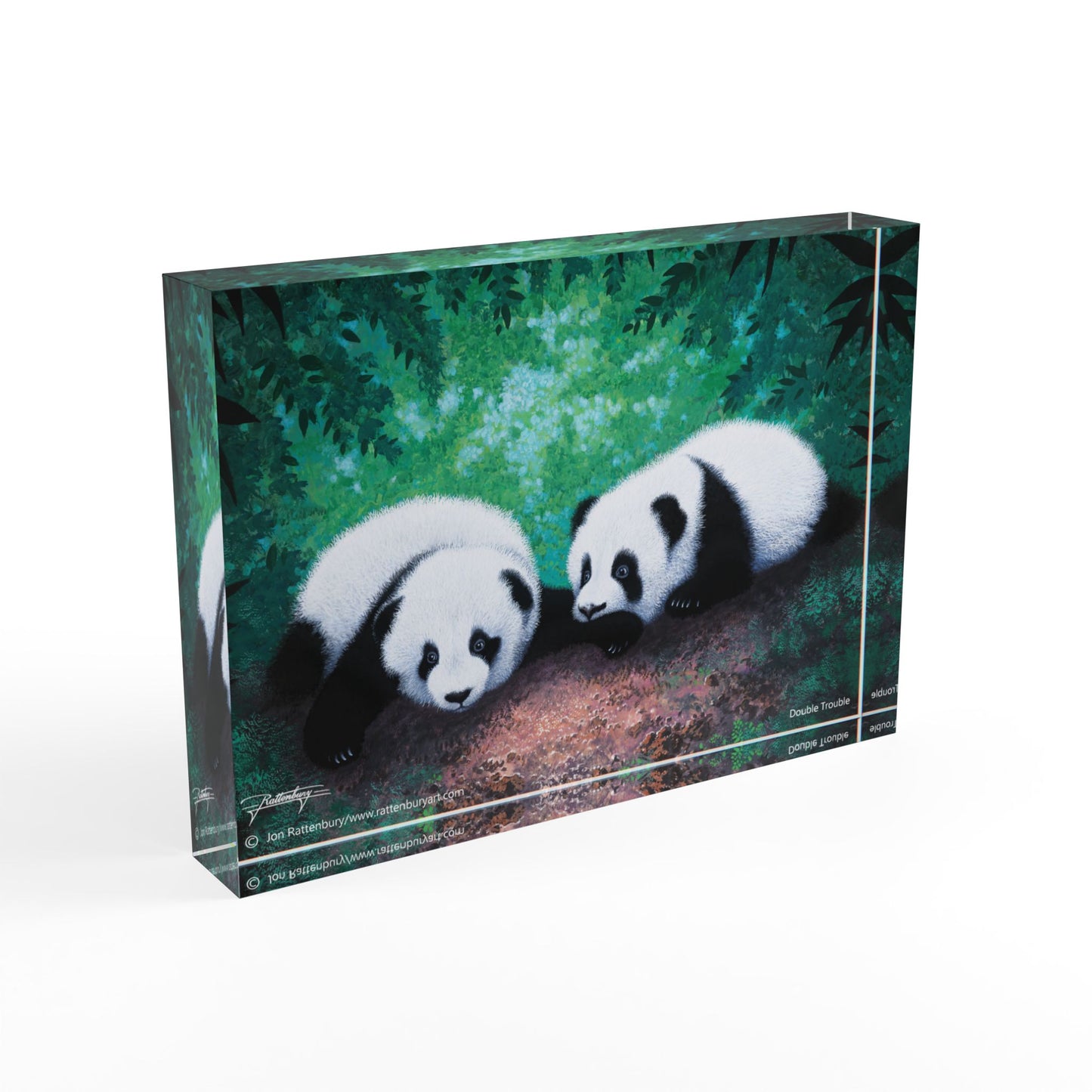 Acrylic Photo Block - Double Trouble