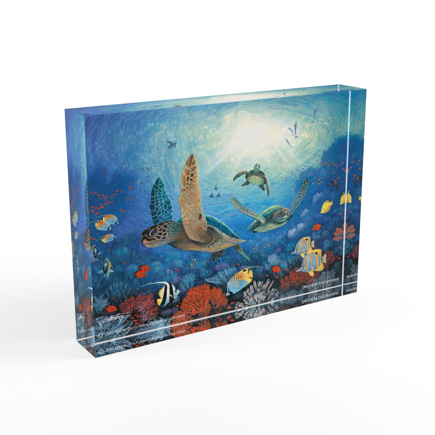 Acrylic Photo Block - Depths of Enchantment