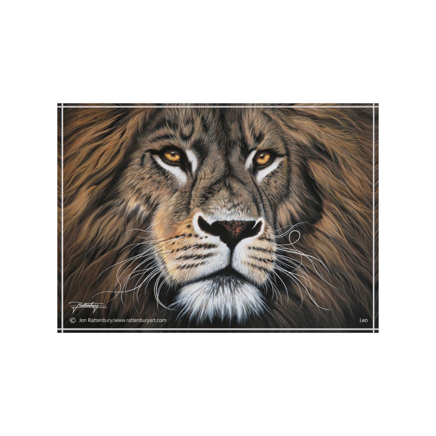 Acrylic Photo Block - Leo