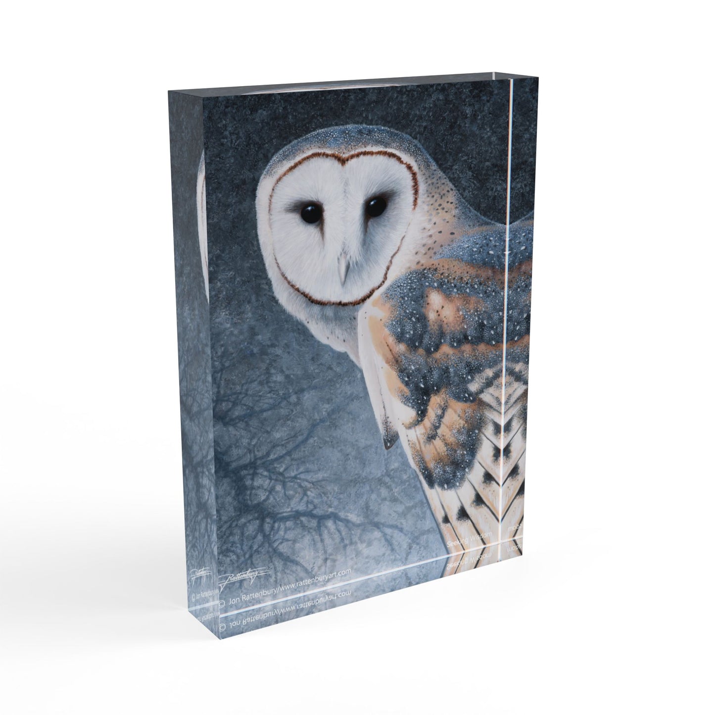 Acrylic Photo Block - Seeking Wisdom