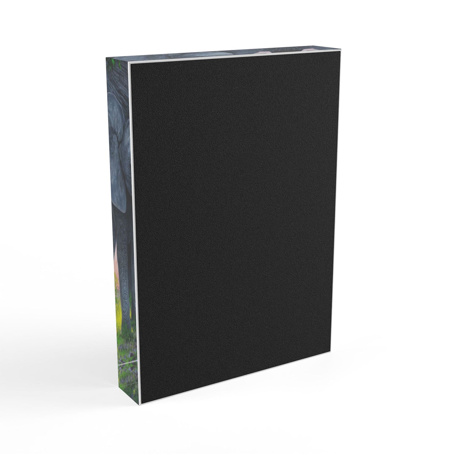 Acrylic Photo Block - Safe Haven