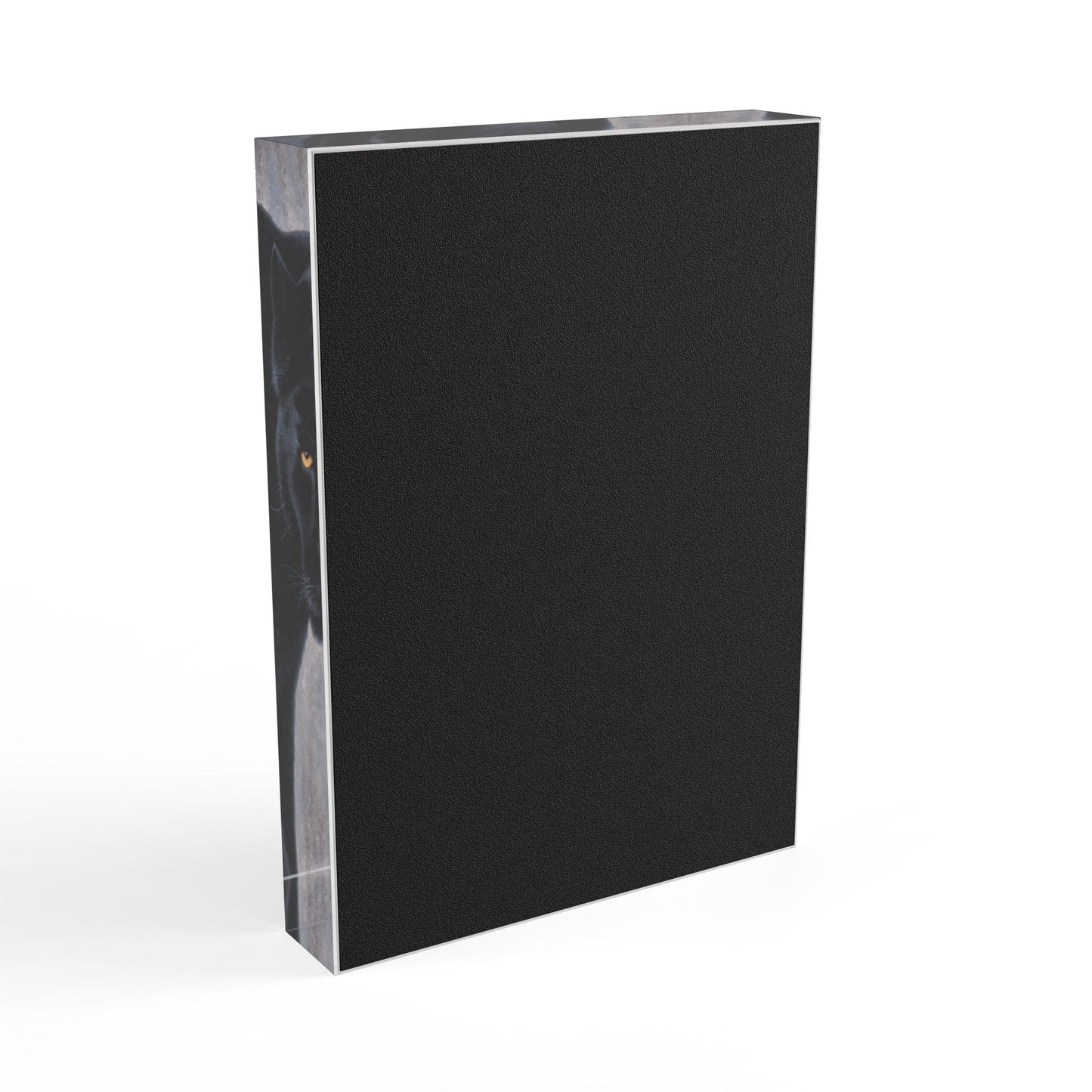Acrylic Photo Block - The Sentinel