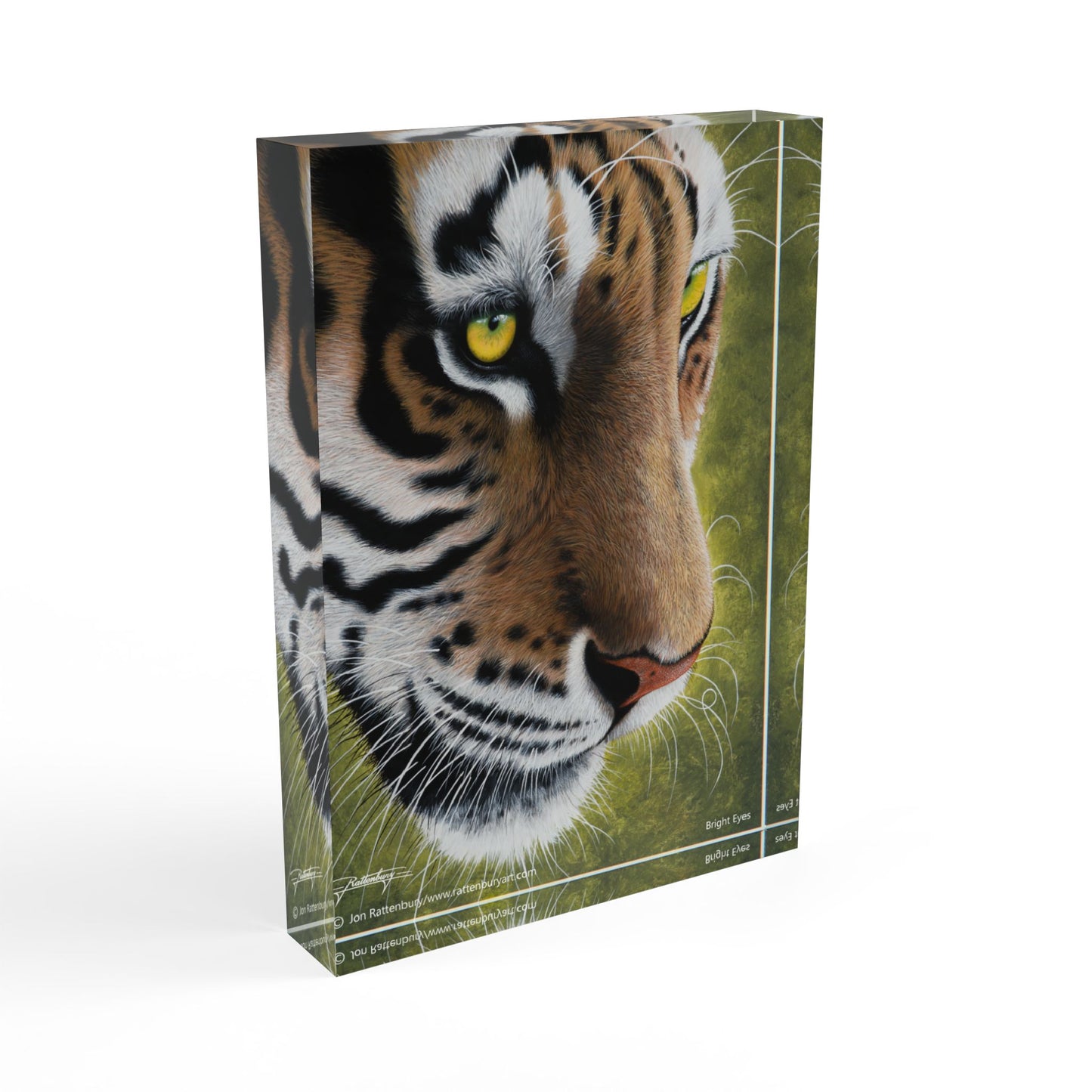Acrylic Photo Block - Bright Eyes