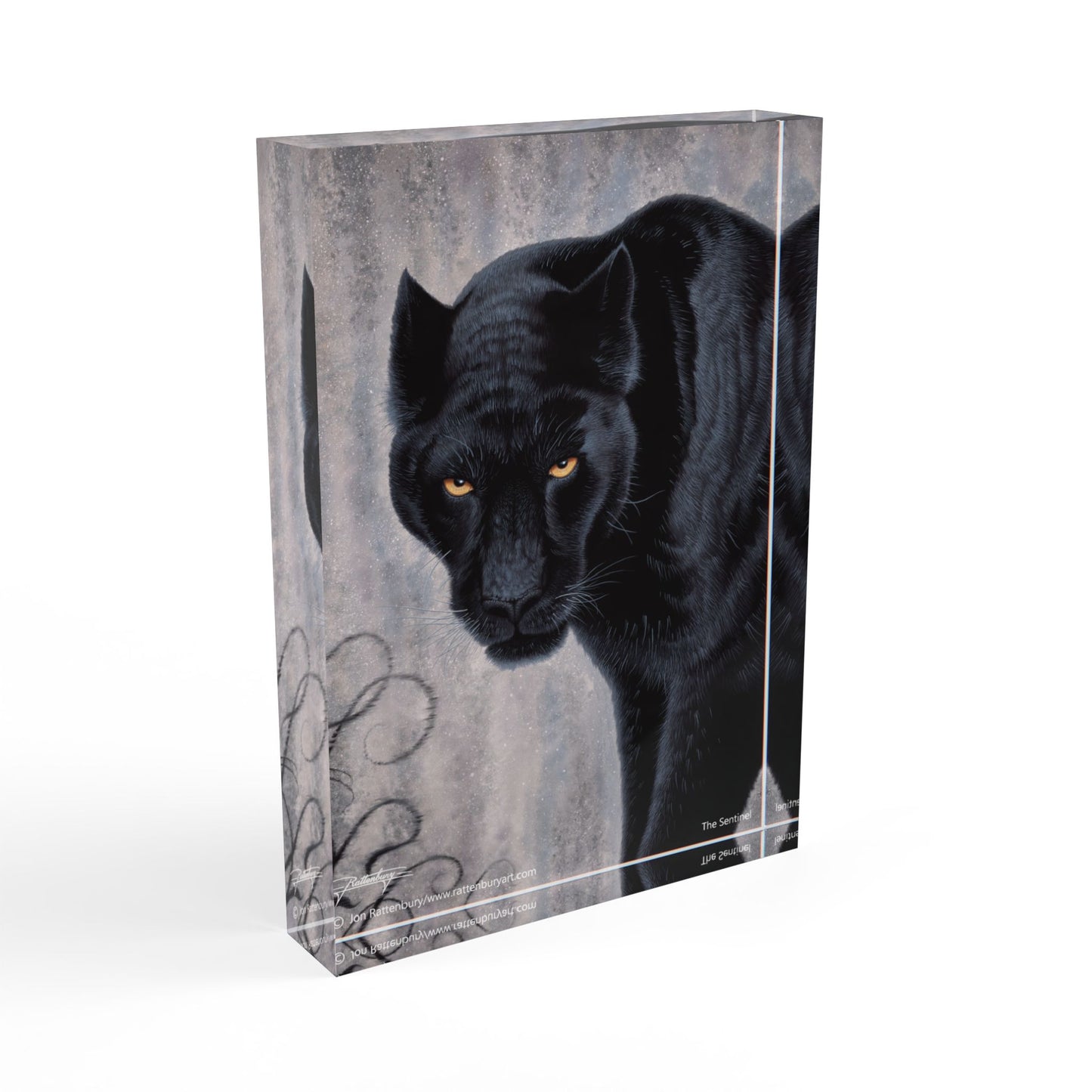 Acrylic Photo Block - The Sentinel