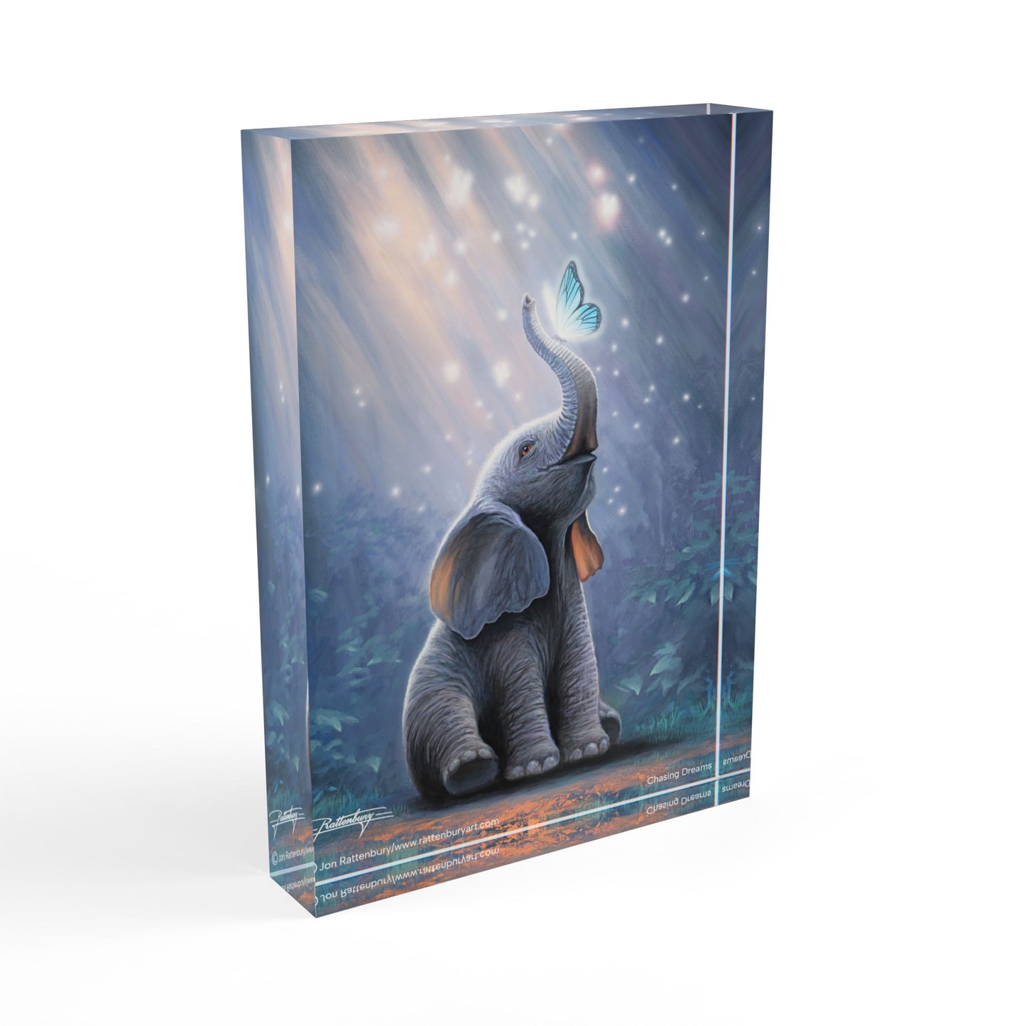 Acrylic Photo Block - Chasing Dreams