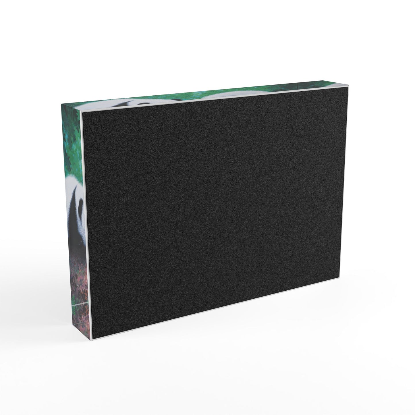 Acrylic Photo Block - Double Trouble
