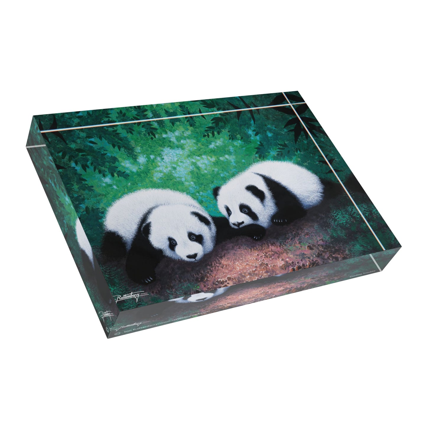 Acrylic Photo Block - Double Trouble
