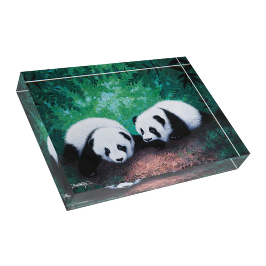 Acrylic Photo Block - Double Trouble