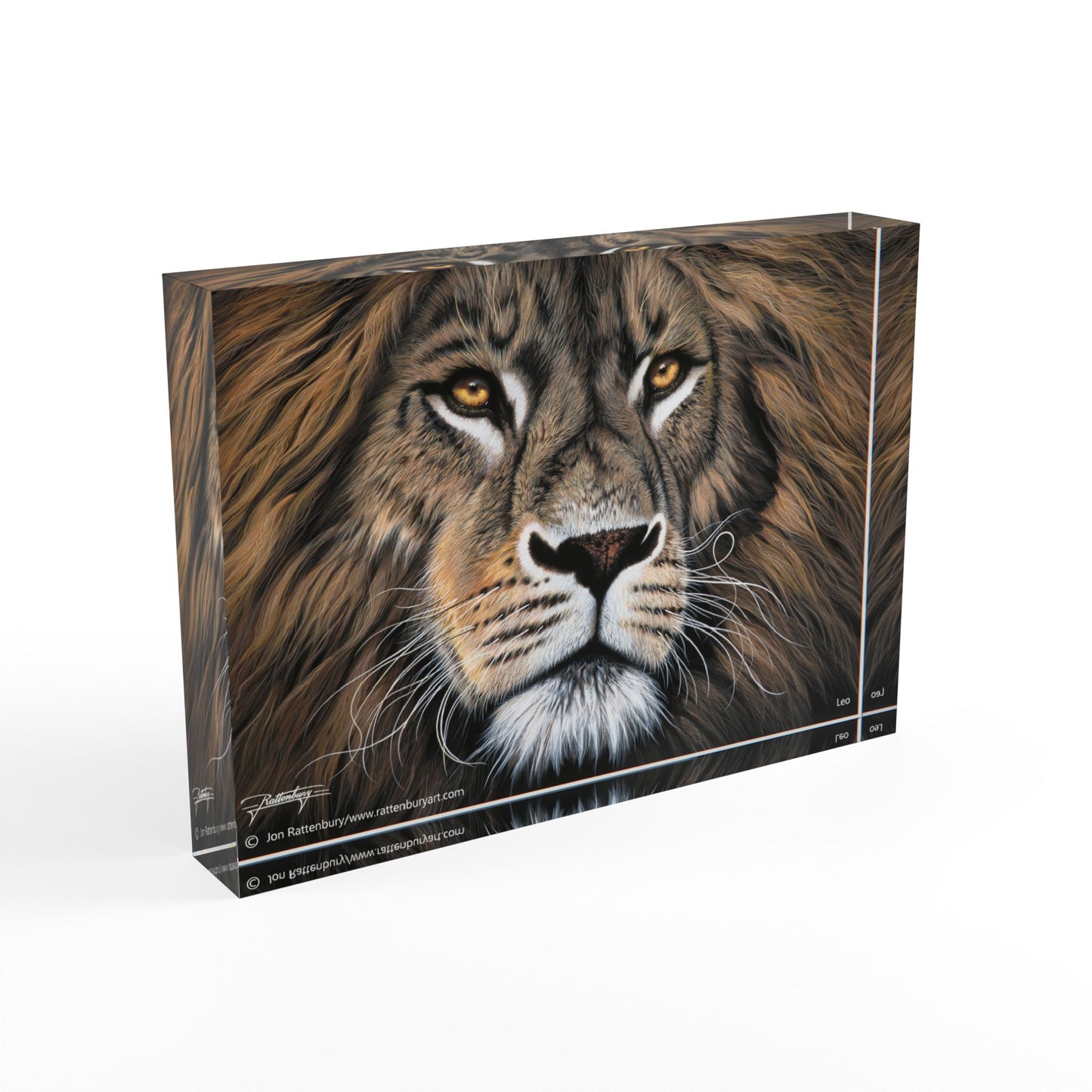 Acrylic Photo Block - Leo
