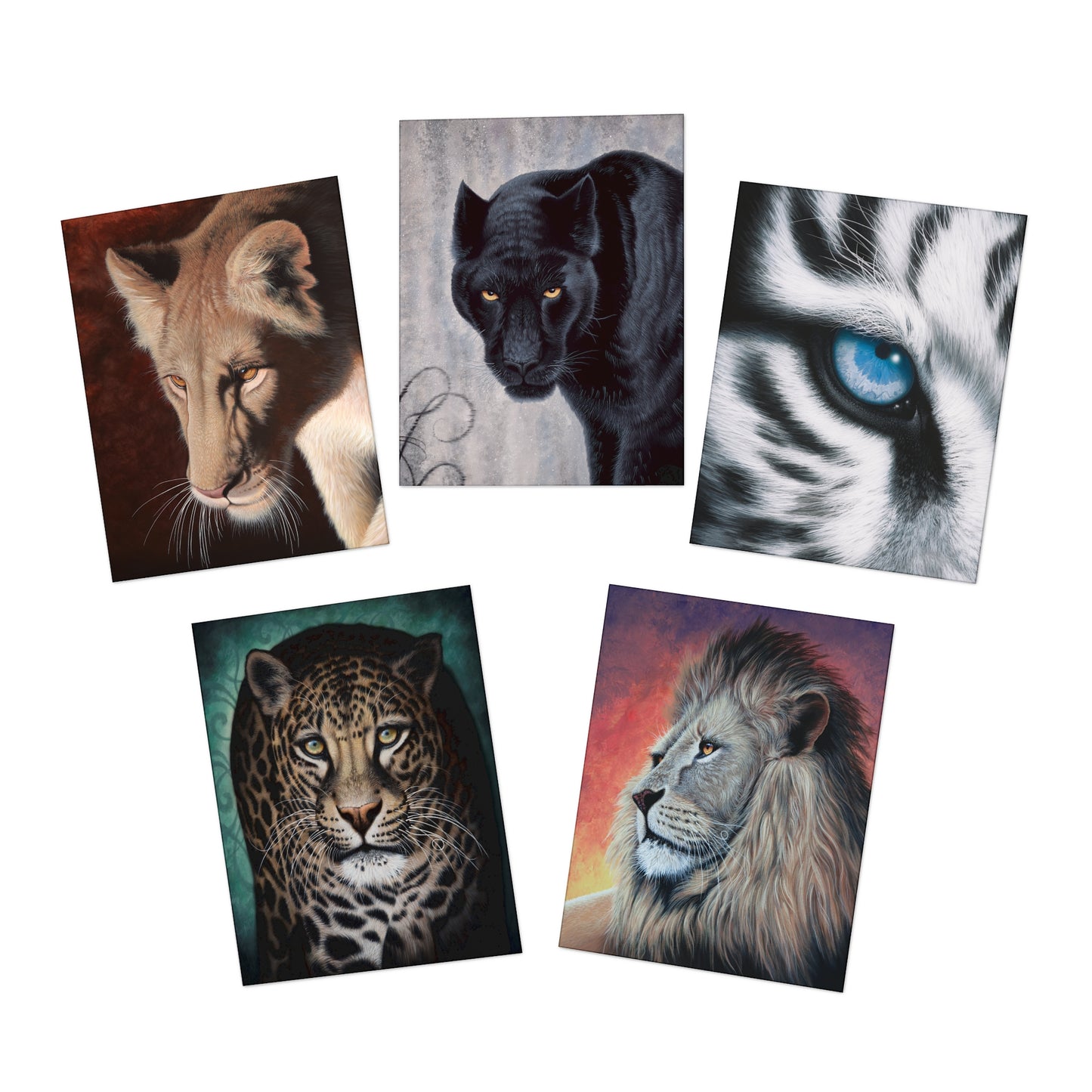 Multi-Design Greeting Cards (5-Pack)