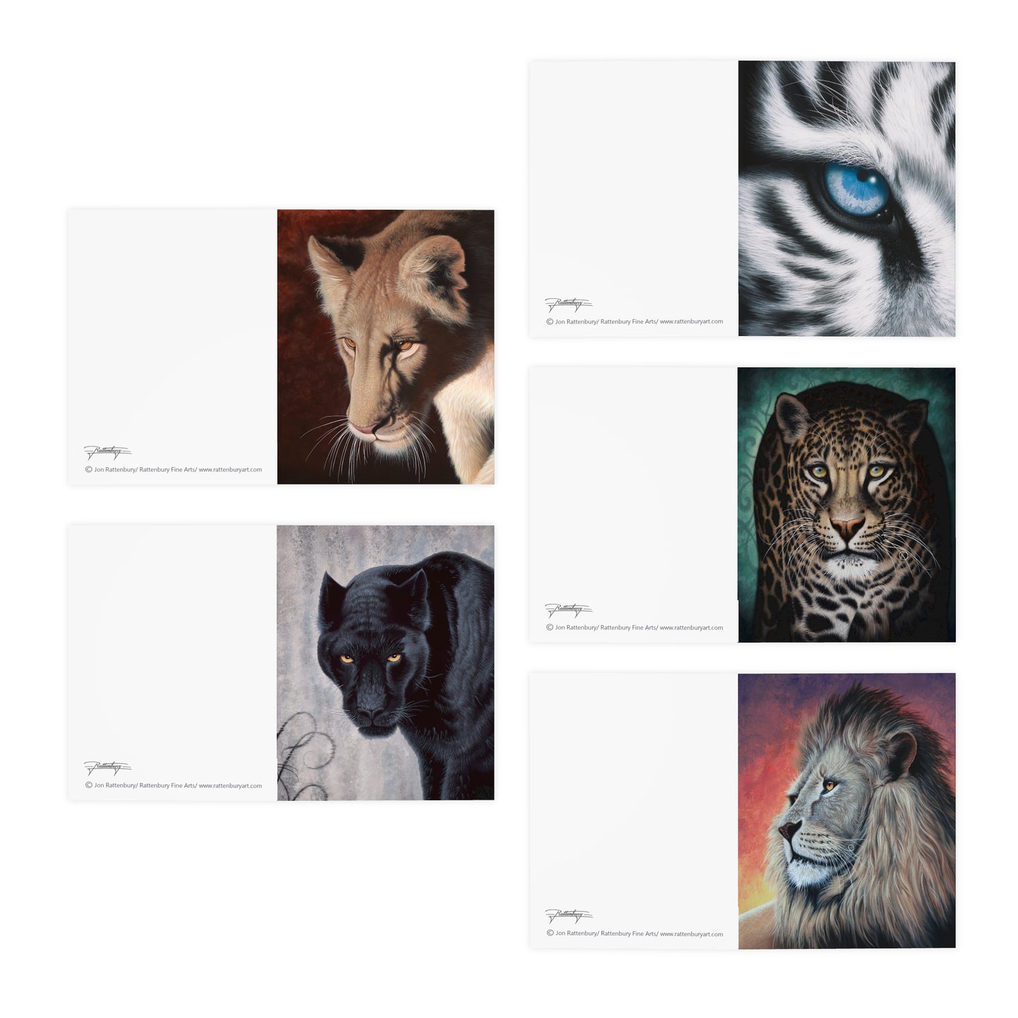 Multi-Design Greeting Cards (5-Pack)