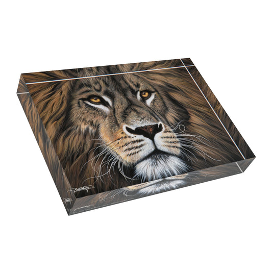 Acrylic Photo Block - Leo