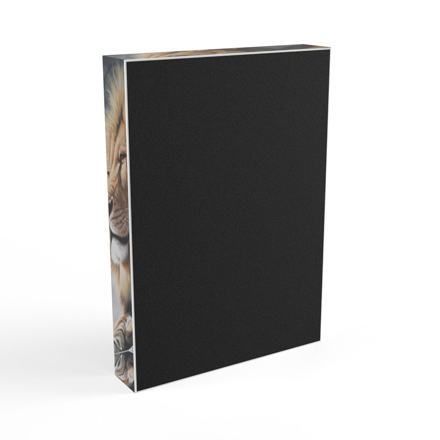 Acrylic Photo Block - Vision of Strength