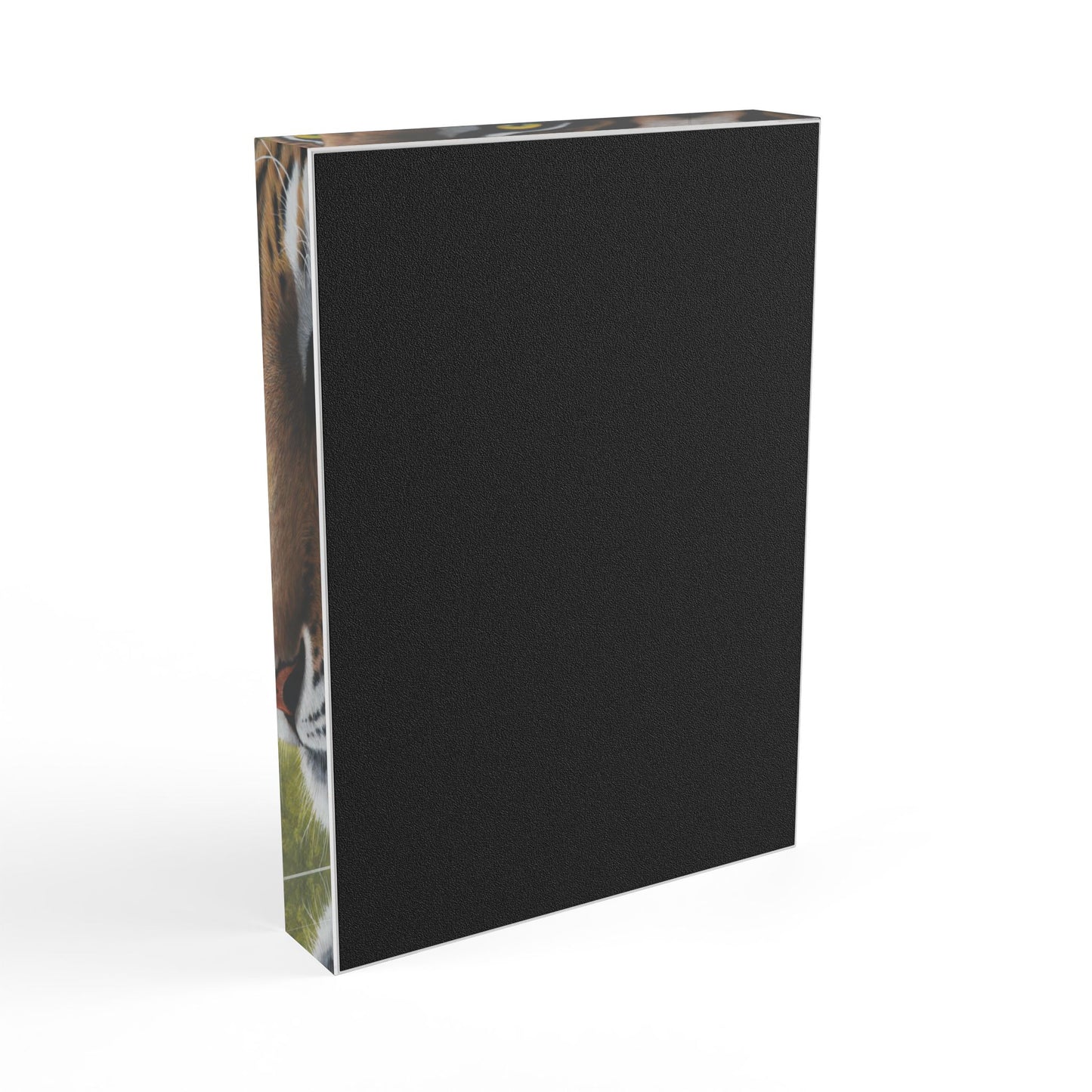 Acrylic Photo Block - Bright Eyes