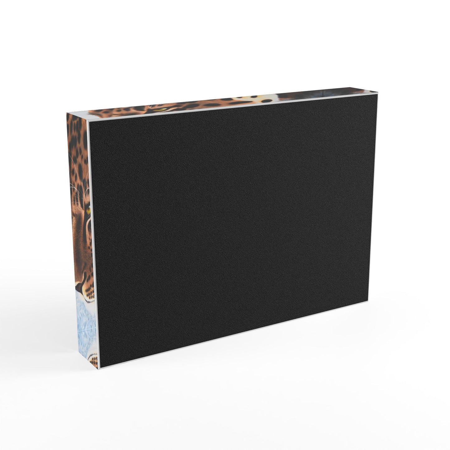 Acrylic Photo Block - I See You