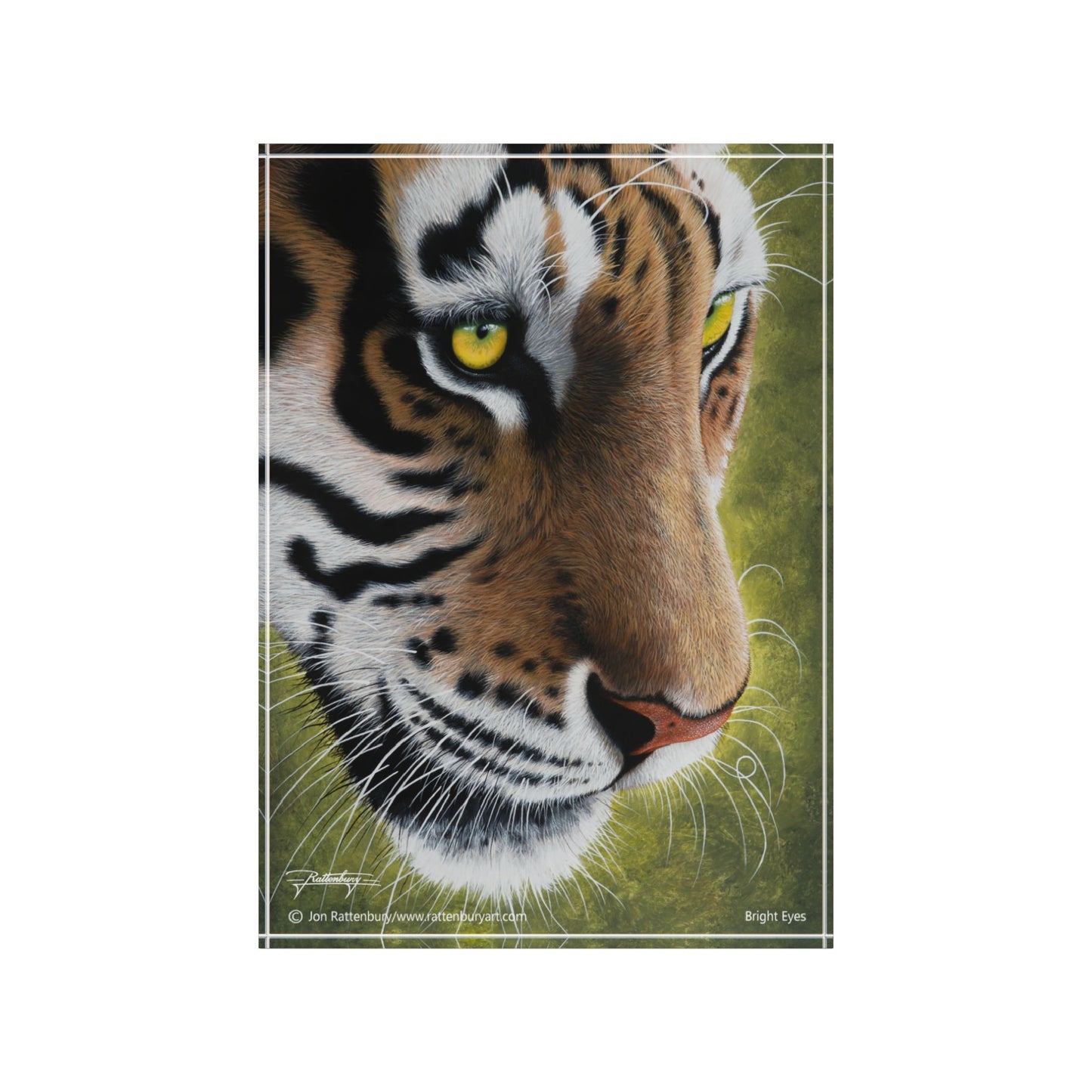 Acrylic Photo Block - Bright Eyes