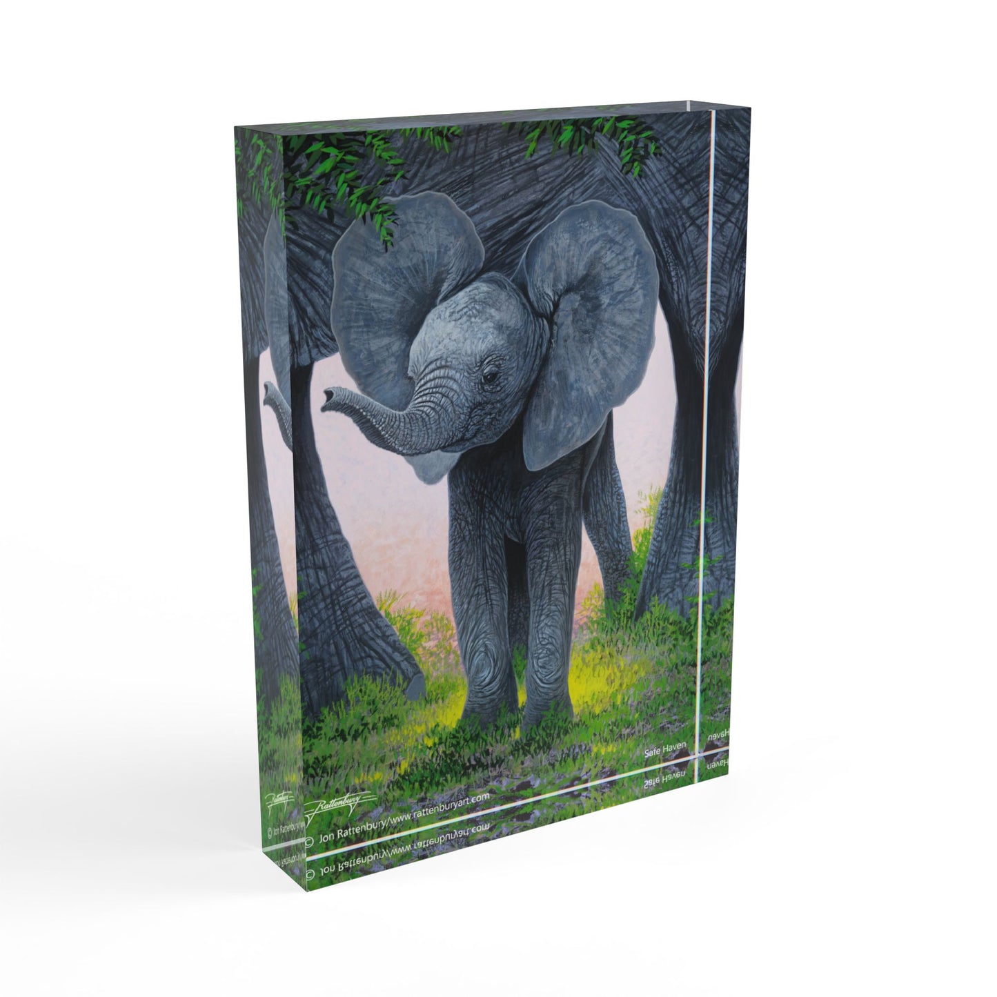 Acrylic Photo Block - Safe Haven