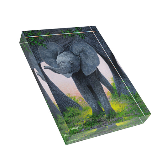 Acrylic Photo Block - Safe Haven