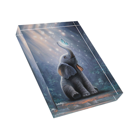 Acrylic Photo Block - Chasing Dreams