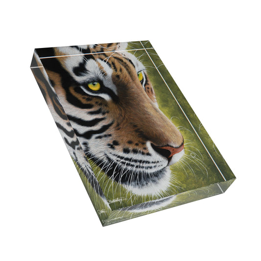 Acrylic Photo Block - Bright Eyes