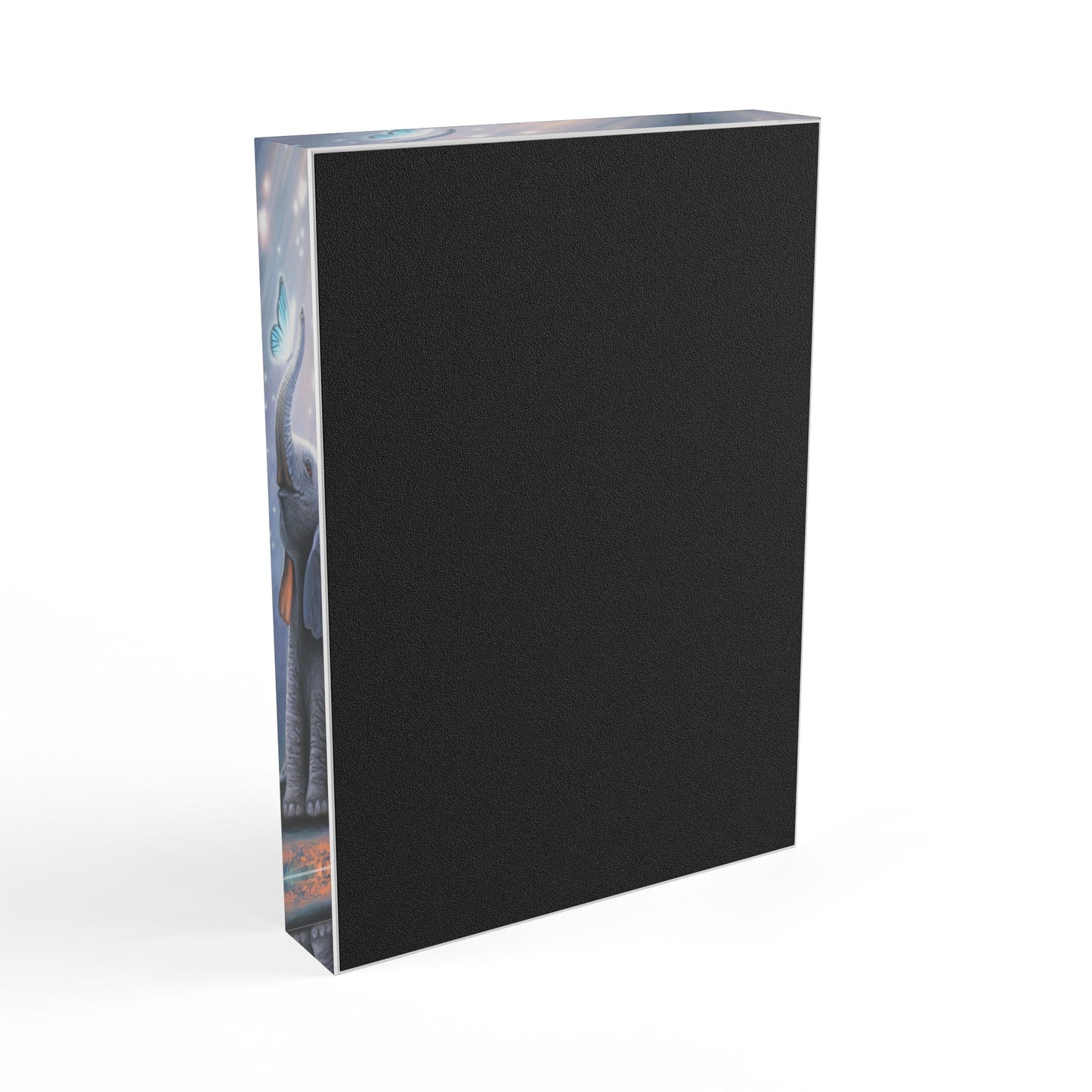 Acrylic Photo Block - Chasing Dreams
