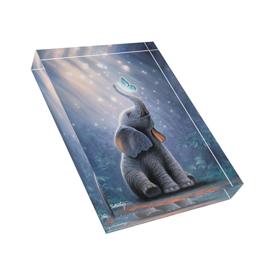 Acrylic Photo Block - Chasing Dreams