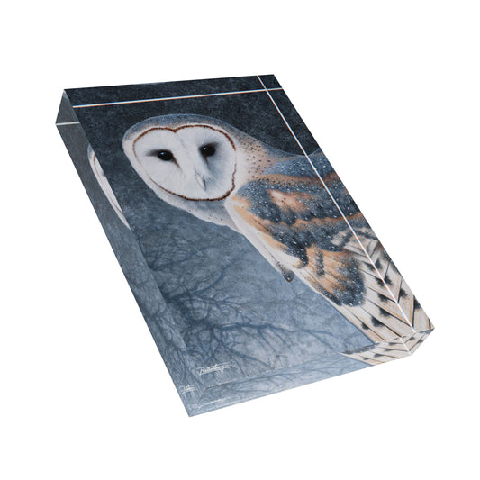 Acrylic Photo Block - Seeking Wisdom